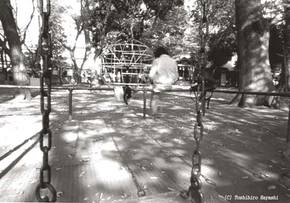 Little Shrine Park with a swing (Boundary of the City)