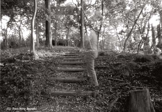 Kanasugi citizen's park #2 (Boundary of the City)