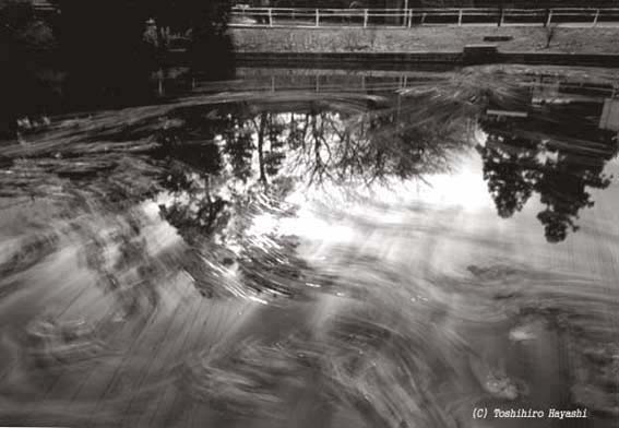 Reflecting off the water (Boundary of the City)