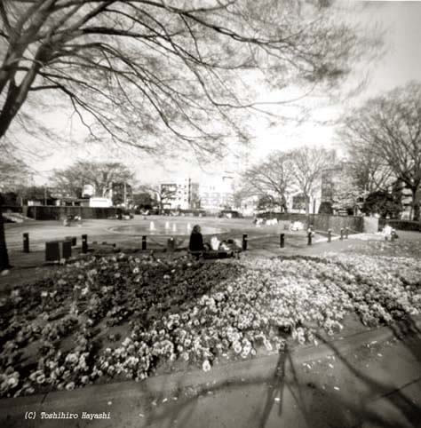 Small park in spring (Inside the City)