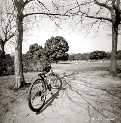 Mountain bike (Inside the City)