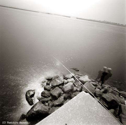 Fishing (Funabashi Bay area)