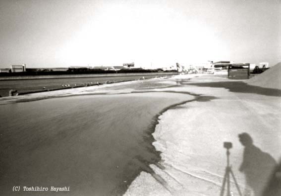 Puddle on the wharf