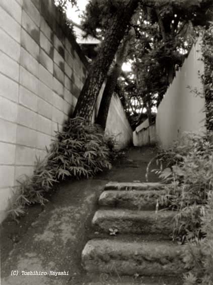 Alley #2 (Inside the City)