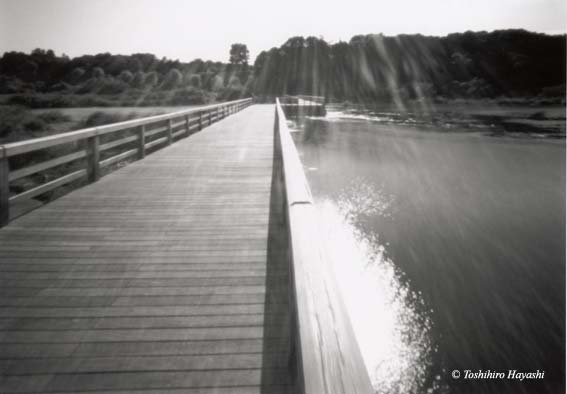 Wooden Bridge