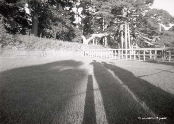 Our Shadows