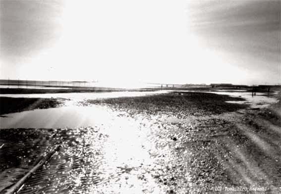 Before Sunset (Seaside Funabashi)