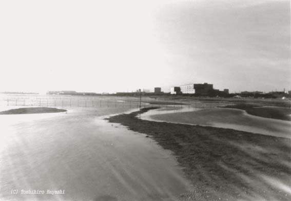 Kaihin-Park2 (Seaside Funabashi)