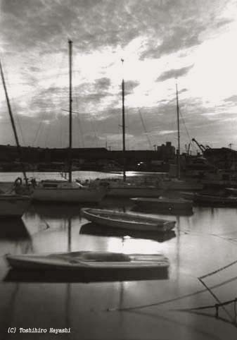 Sunset at the Yacht Harbor (Seaside Funabashi)