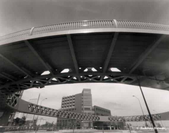 Circle Bridge #2