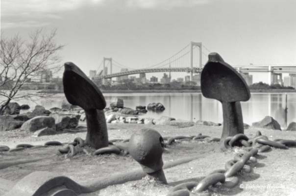 Anchor objects in Odaiba Kaihin Park (Wangan-drive 06)