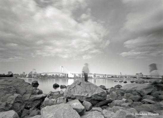 Rocks in Odaiba Kaihin Park (Wangan-drive 07)