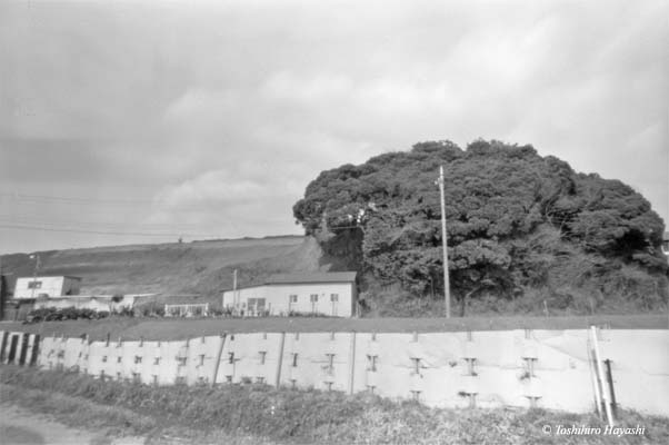 Fence and Hut