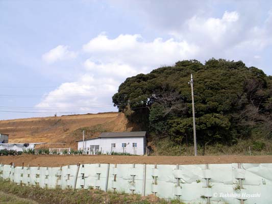 Fence and Hut