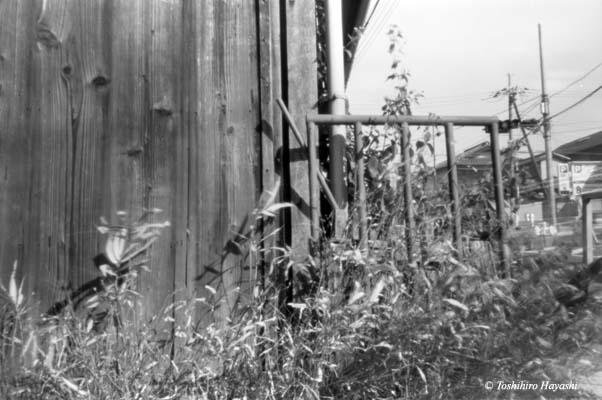 Wood Wall of Old Hut