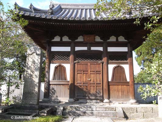 Lotus and Old Shrine