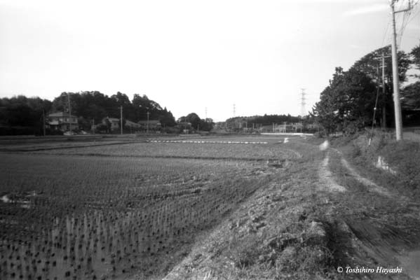 kaeri michi
