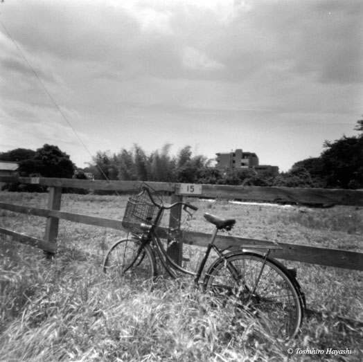 bike with fence