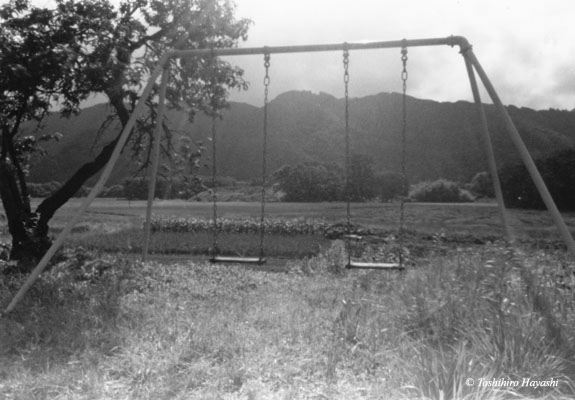 A Swing