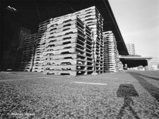 Pallets in the public market 