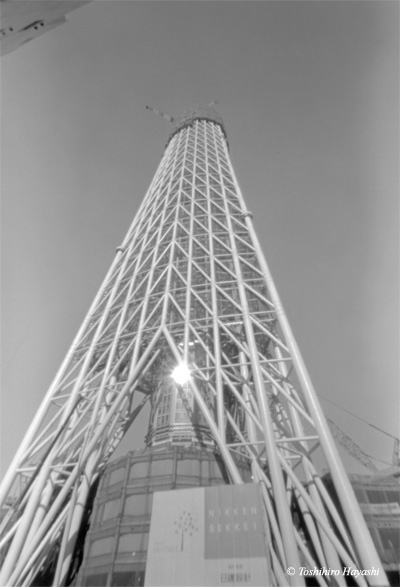 Tokyo Sky Tree (under construction) #1