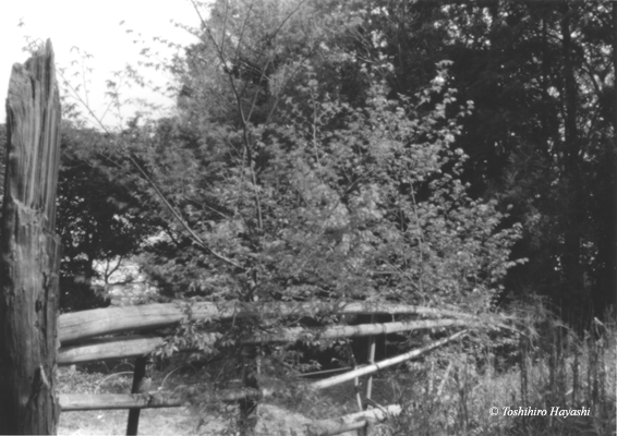 Wooden fence