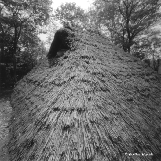 Hut of the Yayoi period