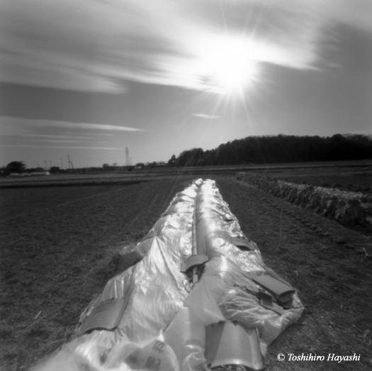 Vinyl on winter field 
