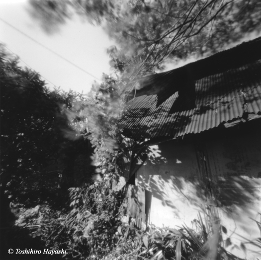 Tin hut 