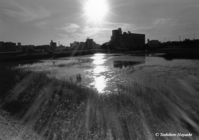 Artificial pond
