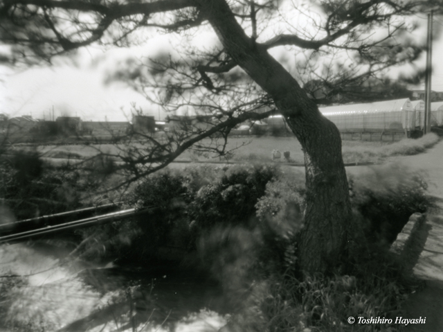 Near the old Sluice gate #1