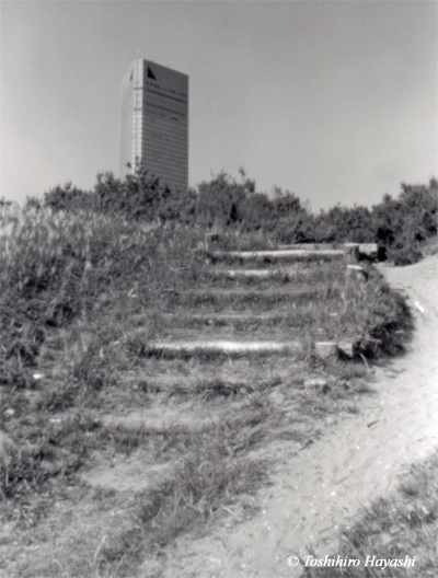 Wooden stairs to the beach #1 