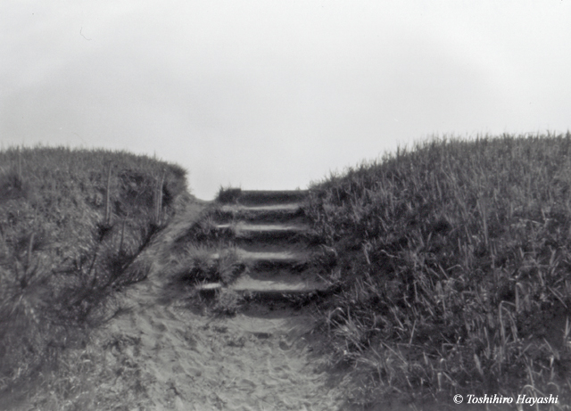 Wooden stairs to the beach #2