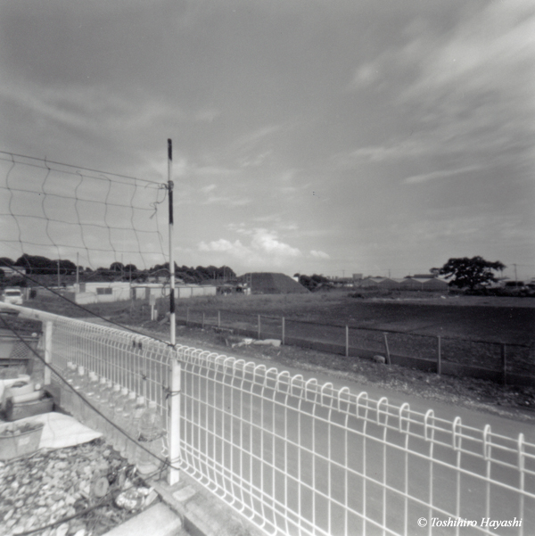 White fence