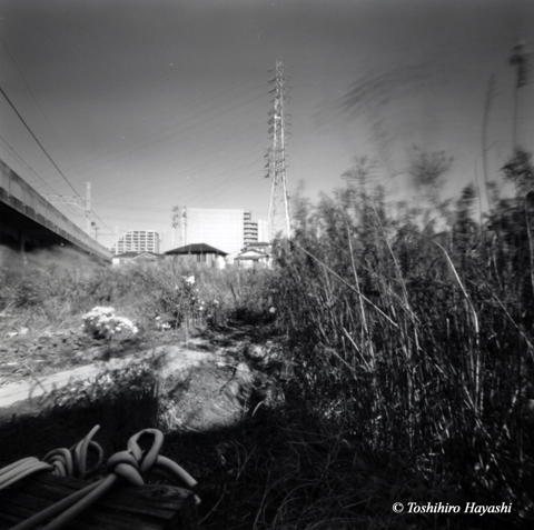 Idle land